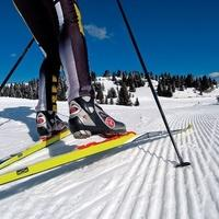 На сколько важна страховка лыжникам Фото 1.