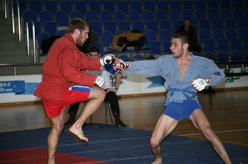 ХХ Чемпионат России по боевому самбо