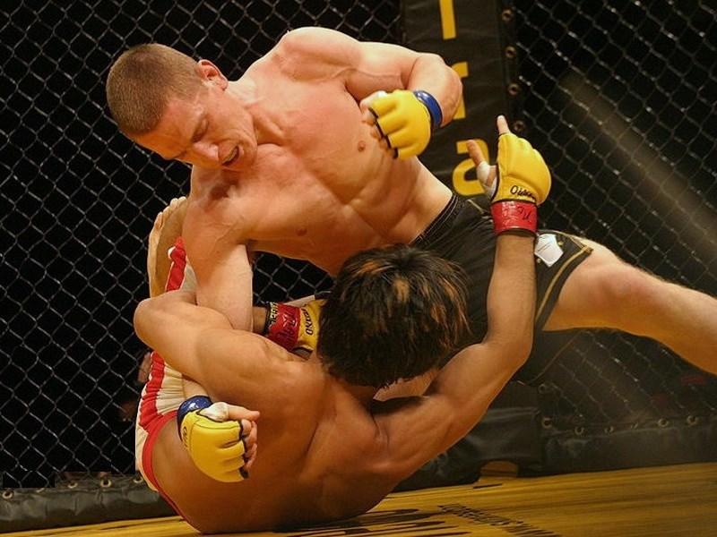 MMA. Микс файт, смешанные единоборства, mix fight, бои без правил