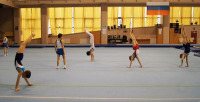 Набор в секцию спортивной гимнастики Фото 3.