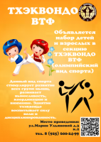 Секция Тхэквондо ВТФ (олимпийский вид спорта) Фото 1.