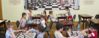 Набор девочек и мальчиков в секцию шахмат Фото 1.