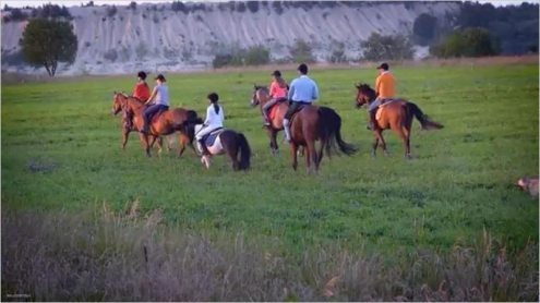Конно-спортивный клуб FREERIDE Фото 1.