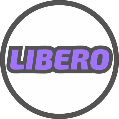 Волейбольная школа LIBERO (Школа №12) Фото 1.