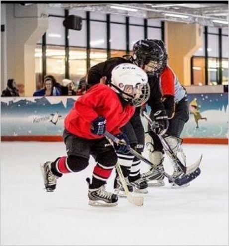 Школа хоккейного мастерства "Hockey Masters" Фото 6.