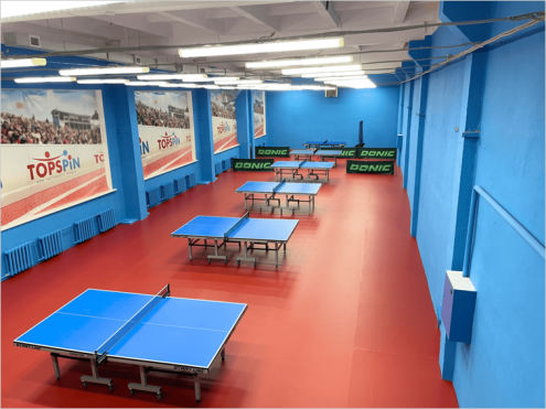 Topspin Фото 2.