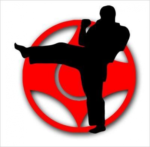Fudzisan Dojo (Люблино) Фото 1.