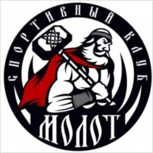 Спортивный клуб "Молот" (с. Подстёпки) Фото 1.