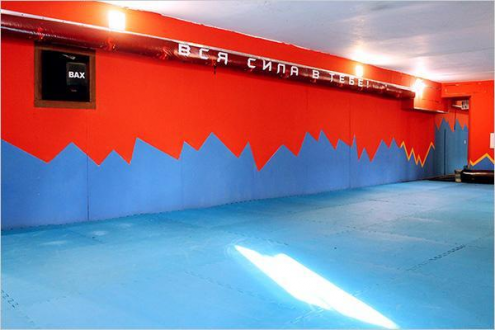 Клуб смешанных единоборств "Ярый-Мир" Фото 4.