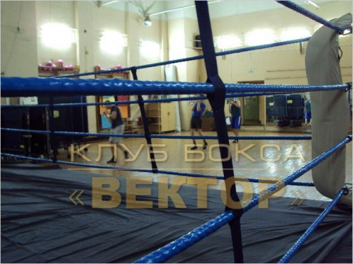 Клуб бокса "Вектор" Фото 1.