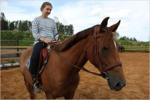 Школа верховой езды "Hello Horse" Фото 2.