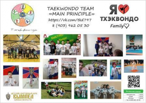 Taekwondo Team «MAIN PRINCIPLE» («Главный принцип») Фото 1.