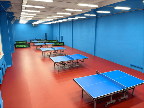 Topspin Фото 1.