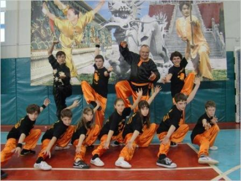 Секция вин-чун кунг-фу и ушу (ВАО) Фото 3.