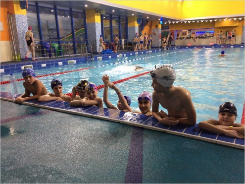 Школа плавания SWIM («Лимпопо») Фото 4.
