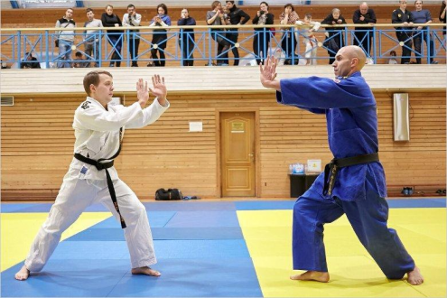 Спортивно-патриотический центр «Сириус» (Проспект Просвещения) Фото 3.