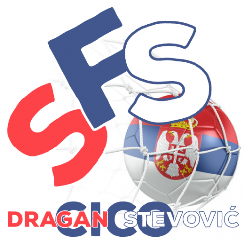 Футбольная школа индивидуального мастерства SFS Фото 1.