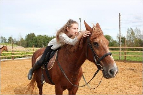 Школа верховой езды "Hello Horse" Фото 1.