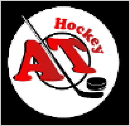 Центр ледовой подготовки «AT Hockey» («Хоккейный Центр») Фото 1.