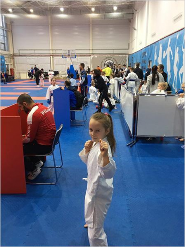 Школа Олимпийского каратэ WKF (ТЦ "Айсберг") Фото 3.