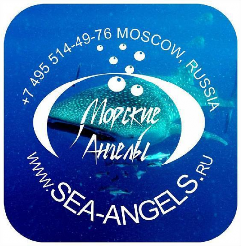 Клуб подводного плавания "Морские Ангелы" Фото 1.