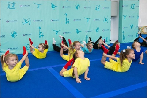 «Школа воздушной акробатики Вальсет» (Видное) Фото 2.