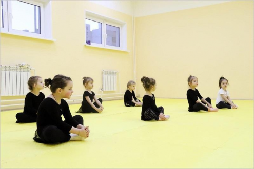Школа художественной гимнастики GymBalance (Технологический институт) Фото 1.