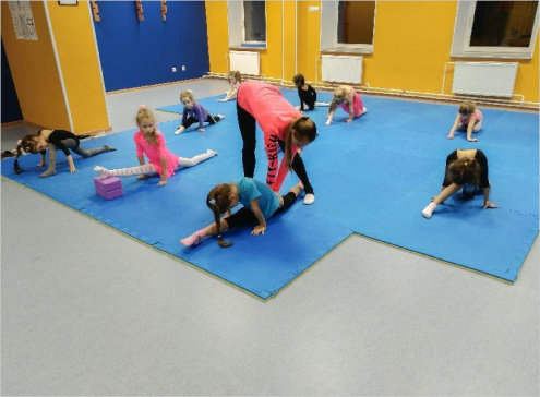 Школа художественной гимнастики GymBalance (Проспект Славы) Фото 1.