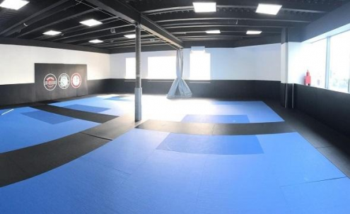 Bujinkan Shinden Dojo Russia Фото 4.