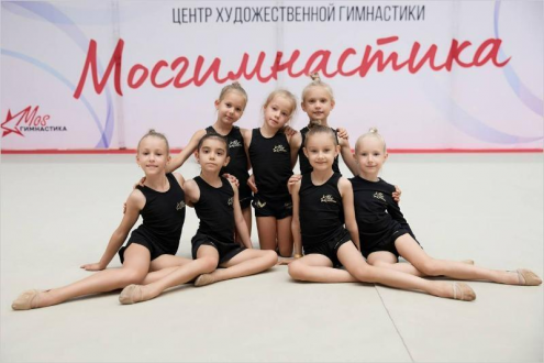 "МОСгимнастика" (Бибирево) Фото 1.