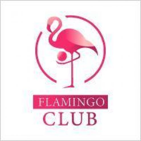 Flamingo Club (Ленинский проспект) Фото 1.