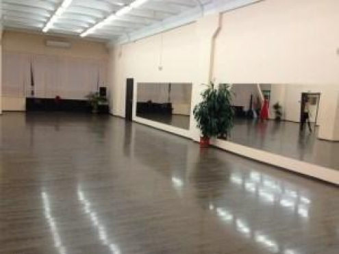 Студия бальных танцев «Камелия» (Коломенская) Фото 3.