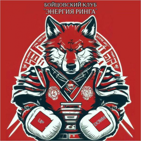 Бойцовский клуб "Энергия ринга" Фото 1.