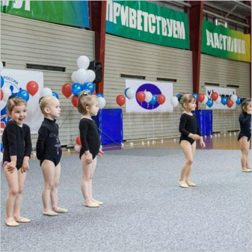 Школа художественной гимнастики в Братеево Фото 2.