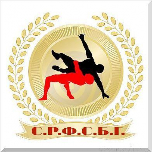 Самарская региональная федерация спортивной борьбы грэпплинг Фото 1.