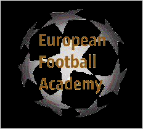 European Football Academy Фото 1.