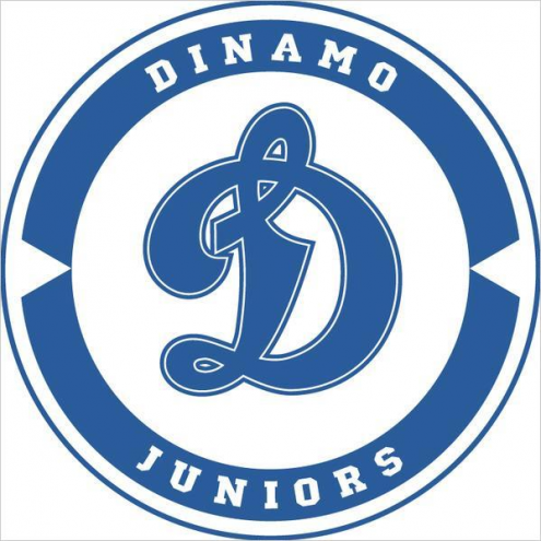 Центр развития хоккея «Dinamo Juniors» Фото 1.