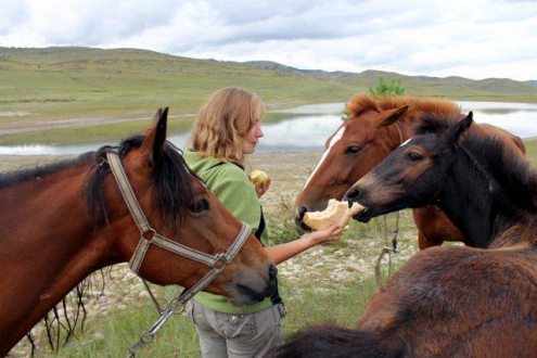 Байкальский конно-туристический центр Фото 3.