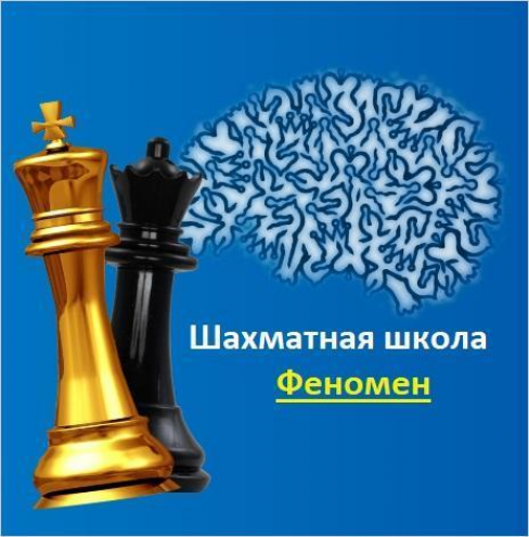 Шахматная школа "Феномен" (Бабушкинская) Фото 1.